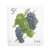 《Grapes》邮票图像