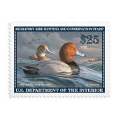 《Redhead Duck》 邮票 2022-2023 图像