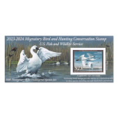 《Tundra Swans》 2023-2024 纪念小全张图像
