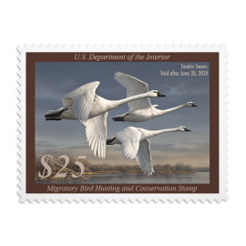 《Tundra Swans》 邮票 2023-2024