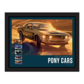 《Pony Cars》裱框邮票，《Ford Mustang》 图像
