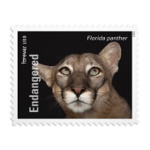 《Endangered Species》邮票图像