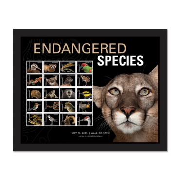 《Endangered Species》裱框邮票 （佛罗里达黑豹）