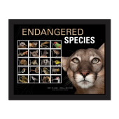 《Endangered Species》裱框邮票 （佛罗里达黑豹）图像