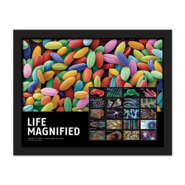 《Life Magnified》裱框邮票