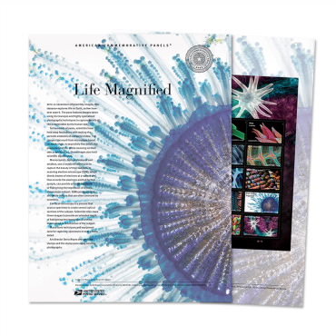 《Life Magnified》美国纪念邮票
