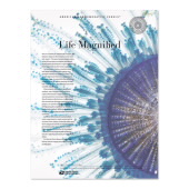 《Life Magnified》美国纪念邮票图像