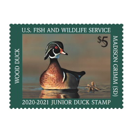 Jr Duck Wood Duck  2020-2021