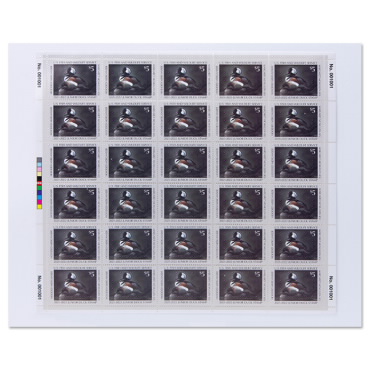 2021 - 2022《Jr Duck Stamp - Hooded Mergansers 》