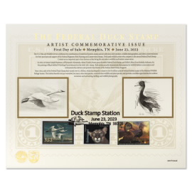 《Tundra Swans》2023-2024 纪念卡