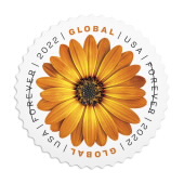 Global: 《African Daisy》邮票图像