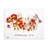 《Tulips》邮票图像