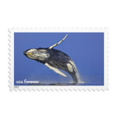 《National Marine Sanctuaries》邮票图像