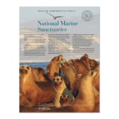 《National Marine Sanctuaries》美国纪念邮票图像