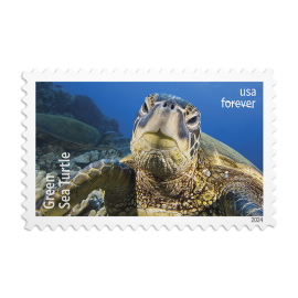 《Protect Sea Turtles》邮票