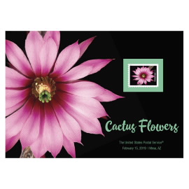 Cactus Flowers 大朵粉色玫瑰花卉印花