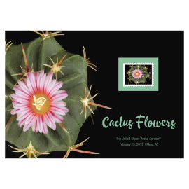 Cactus Flowers 小朵粉色夹杂红色花卉印花