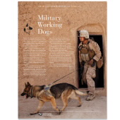 《Military Working Dogs》美国纪念邮票图像