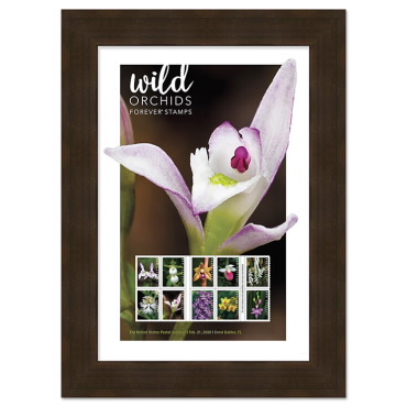 Wild Orchids 裱框邮票