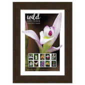 《Wild Orchids》裱框邮票图像