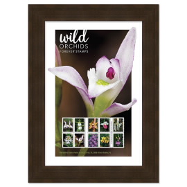Wild Orchids 裱框邮票