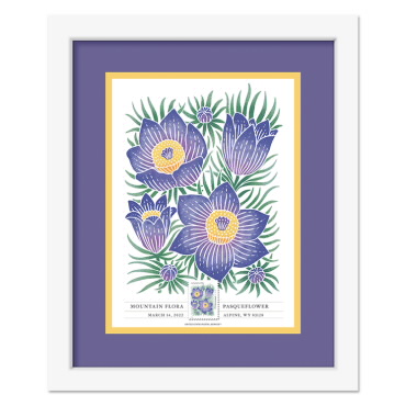 《Mountain Flora》裱框邮票 - 《Pasqueflower》