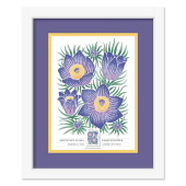 《Mountain Flora》裱框邮票 - 《Pasqueflower》图像
