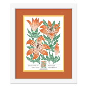 《Mountain Flora》裱框邮票 - 《Wood Lily》图像