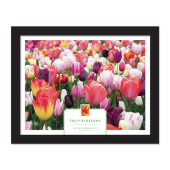 《Tulip Blossoms》裱框邮票图像