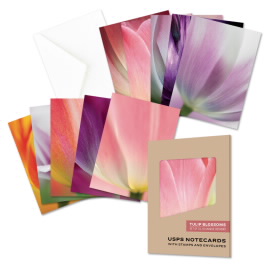 《Tulip Blossoms》记事卡