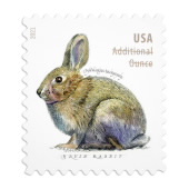 《Brush Rabbit》邮票图像