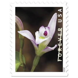 《Wild Orchids》邮票