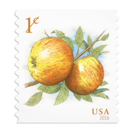 Apples Stamps