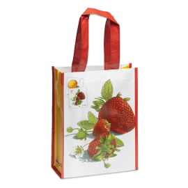 《Fruits & Flowers》小号手提袋
