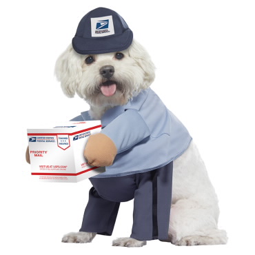 美国邮差犬类服饰