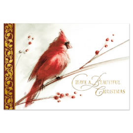 Cardinal on Holly Greeting Card